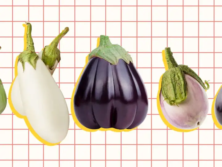 A colorful display of various types of eggplant, from white to deep purple, arranged on a grid background.